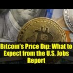 img_139817_bitcoin-39-s-price-dip-what-to-expect-from-the-u-s-jobs-report.jpg