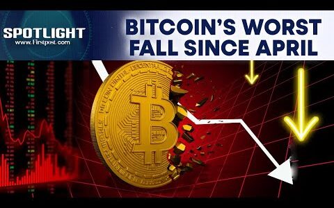 Bitcoin Falls to Lowest Level since April On US Jobs Data | Spotlight | N18G