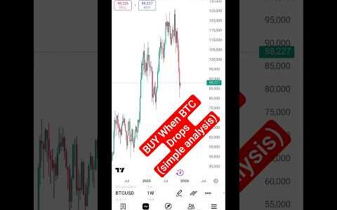 BITCOIN news update (NOV 2025) and LIVE TRADING strategy