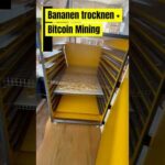 Endlich! Und diesmal sind es unsere eigenen Bananen. Bitcoin Mining und dabei Früchte trocknen ☀️👍 img_141159_endlich-und-diesmal-sind-es-unsere-eigenen-bananen-bitcoin-mining-und-dabei-fruchte-trocknen.jpg