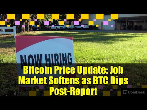 Bitcoin Price Update: Job Market Softens as BTC Dips Post-Report