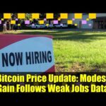 img_141191_bitcoin-price-update-modest-gain-follows-weak-jobs-data.jpg