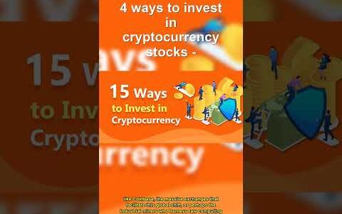 Crypto Stocks Ride the Revolution