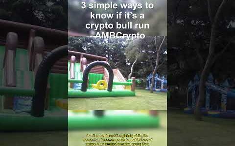Crypto Bull Run Signs You Cant Ignore