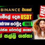 img_141655_earn-money-online-sinhala-2025-binance-free-event-sinhala-online-jobs-at-home-free-usdt.jpg