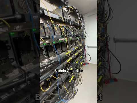 Inside a Bitcoin Mining Container #bitcoinmining