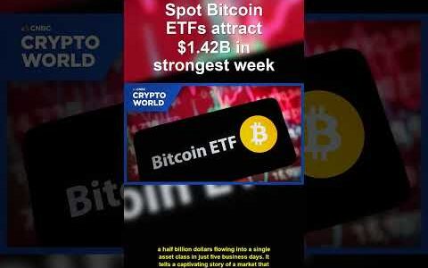 Bitcoin ETF 14B Floodgates Open