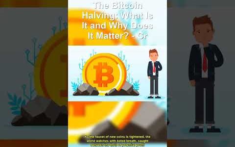Bitcoin Halving What You NEED To Know