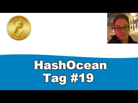Hashocean Tag 19 - Profit Bericht und Update zum Bitcoin Preis