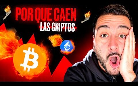URGENTE: ¡¡Pánico en Las Criptomonedas!! 👉 Bitcoin pierde los 80.000$ y Altcoins se desploman