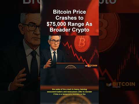 img_142829_bitcoin-crashes-what-happened.jpg