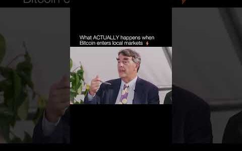 If Bitcoin works for merchants, does everything else follow? 💰