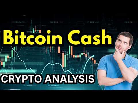 Bitcoin Cash (BCH): New Merchant Adoption & BCH Price News 2026