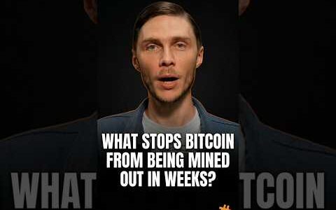 Two Pieces of Code Keep Bitcoin Scarce Forever