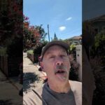 img_145109_fake-crypto-jobs-on-linkedin-are-stealing-wallets-during-onboarding.jpg