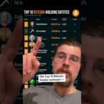 img_146144_die-top-10-bitcoin-hodler-weltweit.jpg