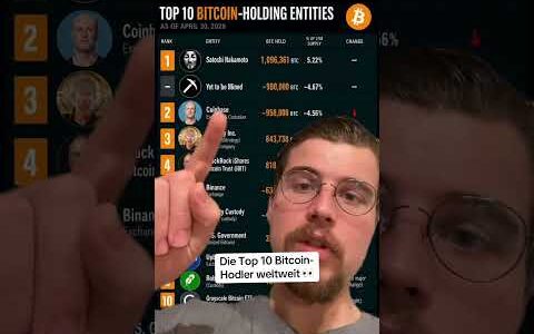 Die Top 10 Bitcoin-Hodler weltweit 👀
