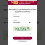 img_147341_pnb-cbdc-merchant-user-guide-app-use-kaise-kare-qr-code-pnb-pnbindia-cbdc-pmgkay-banking.jpg