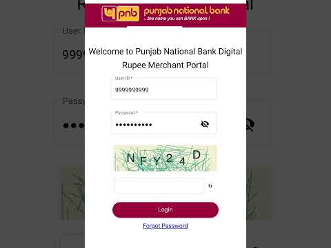 PNB CBDC MERCHANT USER GUIDE ( App use kaise kare ) QR CODE  #pnb #pnbindia #cbdc #pmgkay #banking