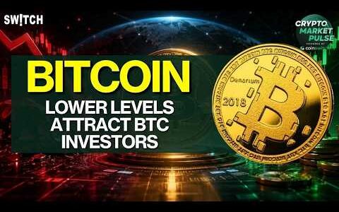 Crypto Market Pulse: Lower Levels Attract BTC Investors। Top News of The Day। Powered by CoinSwitch