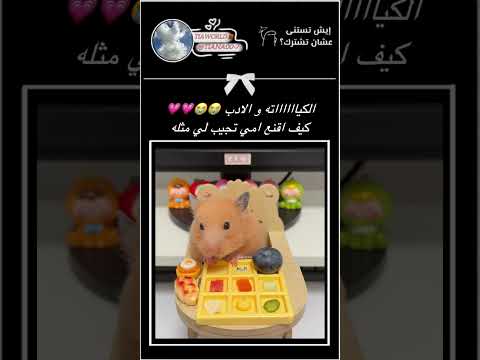 #hamster #viral #makemoneyonline #fyp #cute #funny #shorts #youtubeshorts #like #mukbang