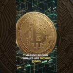 img_149175_bitcoin-whales-are-moving-what-happens-next-btc-news.jpg