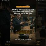 img_149238_btcpay-emergency-patch-exposes-merchant-side-bitcoin-security-risk.jpg