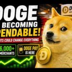 img_149548_doge-is-becoming-spendable-could-payments-change-dogecoin.jpg