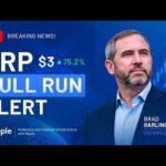 img_149977_xrp-bull-run-alert-brad-garlinghouse-message-crypto-news-amp-xrp-price-prediction.jpg