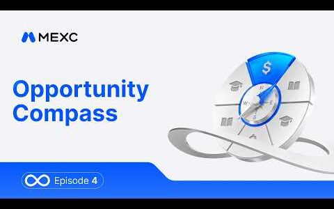 Crypto, Stocks & Gold: Three Different Jobs | Opportunity Compass S1E04