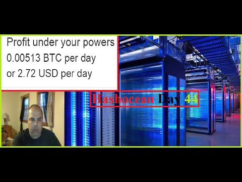 Hashocean Day 44 Review Results John Pradelski BTC Bitcoin