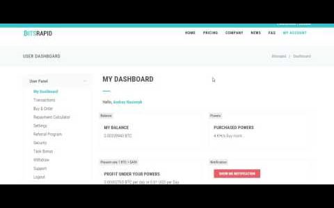 Bitcoin платформа облачного майнинга BITSRAPID 2016.06.28