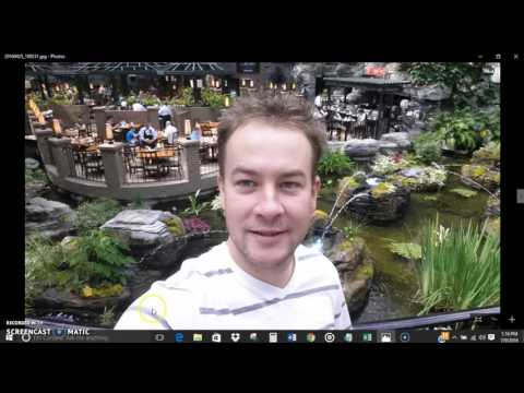 Low Carb Foods And How To Make Money Online