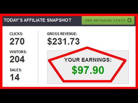 HOW TO MAKE MONEY ONLINE - PAYPAL PROOF! - Done For Your Paypal Business Results