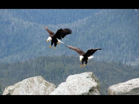 Bitcoin News Review 20 October 2016