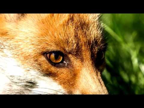 How To Make Money Fast With Photography Jobs Online