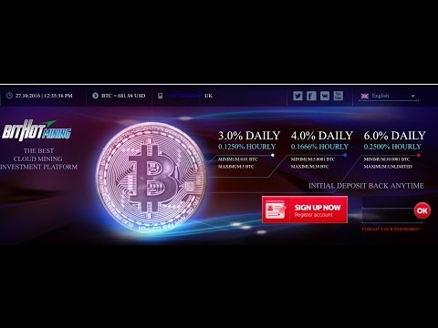 SCAM Bithot 0.125%-0.25% hourly Bitcoin