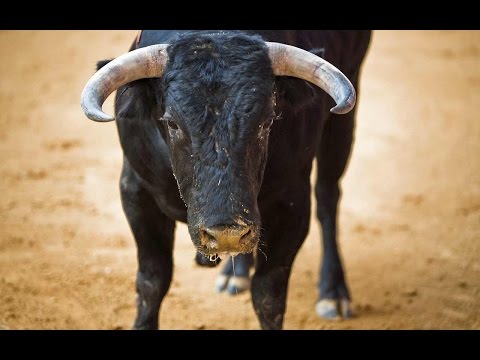 Bitcoin News Revew 17 November 2016