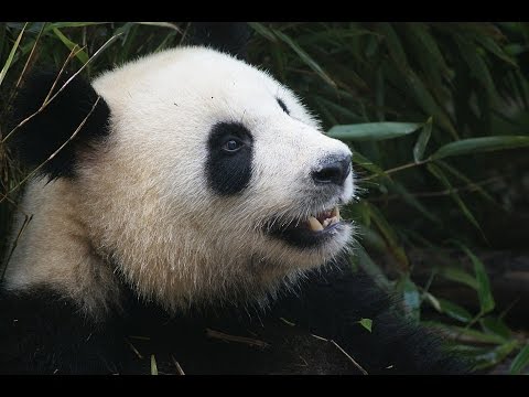 Bitcoin News 2 December 2016