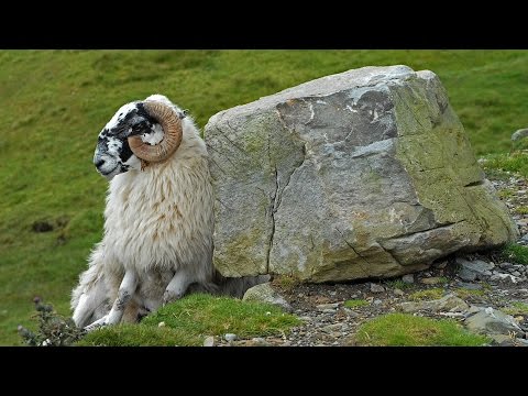 Bitcoin News 12 December 2016