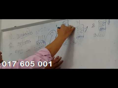 How to make money online in Cambodia with Adsense, Youtube, and Facebook   YouTube