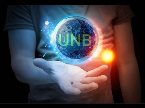 UNB Dev Speaks at Hashers United about Long Term ROI
