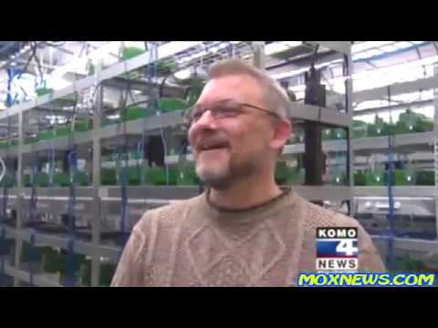 The biggest America's  Bitcoin mining farm.