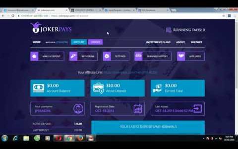 204 JokerPays offers one investment plan  Earn 300$ days with Jokerpay Scam site