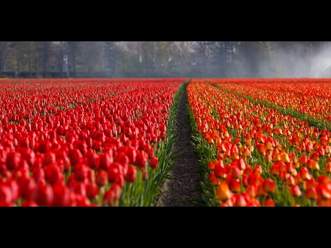 Bitcoin News 2 February 2017