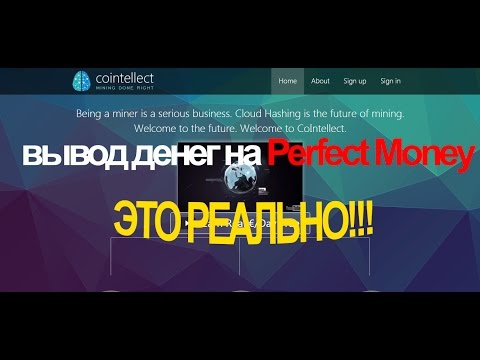 Cointellect - как вывести деньги на Perfect Money, OkPay, Payeer