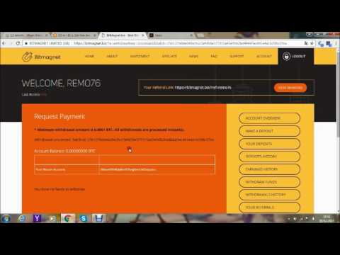 BitMagnet Payment prof February 9. Scam or not?