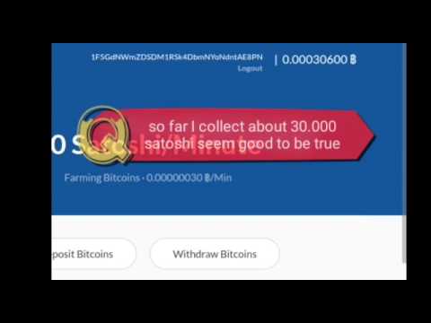 Update www.bitcoint-farm.com scam or not !