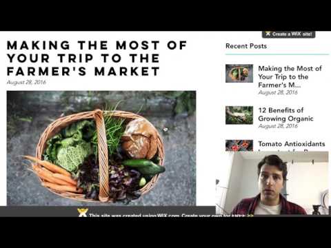 Make Money Online With FREE Wix Websites Easy $100 Day Method