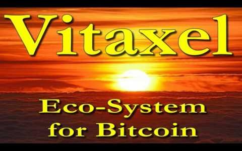 VITAXEL BITCOIN ETHEREUM ECO-SYSTEM PLATFORM REVIEW USA UNITED STATES